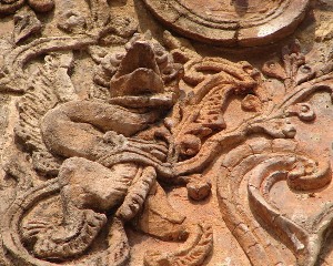 Image Image
